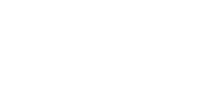 DoradoBet 500x500_white
